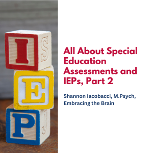 All About Special Education Assessments and IEPs, Part 2