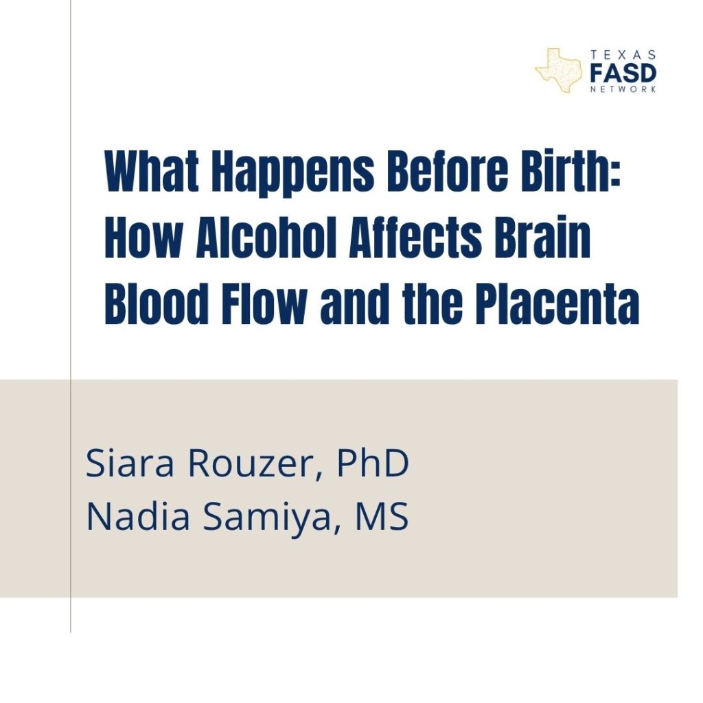 What Happens Before Birth: How Alcohol Affects Brain Blood Flow and the Placenta